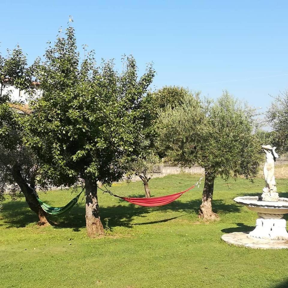 Agriturismo La Palazza 살라 콘실리나 외부 사진